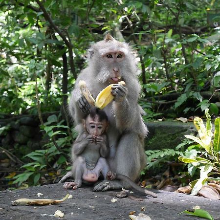 Pondok Penestanan Villa Ubud Ngoại thất bức ảnh