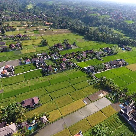 Pondok Penestanan Villa Ubud Ngoại thất bức ảnh