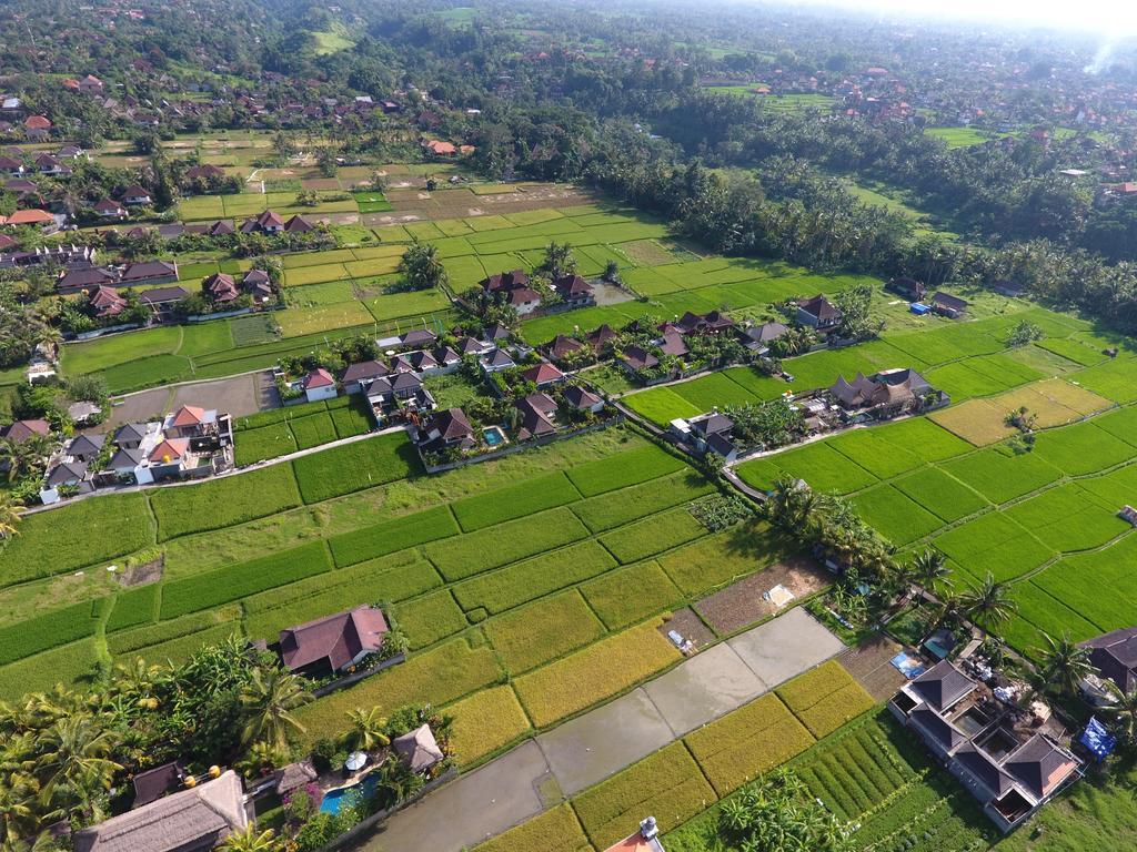 Pondok Penestanan Villa Ubud Ngoại thất bức ảnh